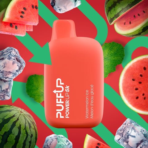 Puffup Power up 5k Watermelon Ice 20mg/mL disposable(provincial)