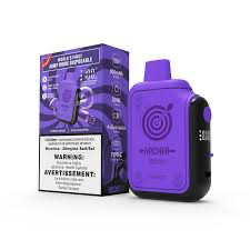 Archer 12000 VapMod 20mg Purple Wings disposable