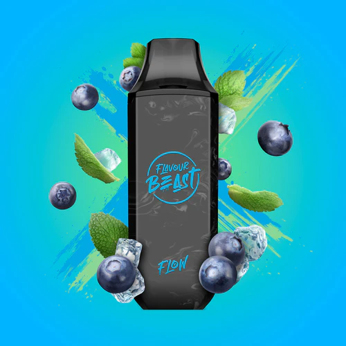 Flavour beast flow 4000 Blessed blueberry mint 20mg/mL disposable( Provincial)