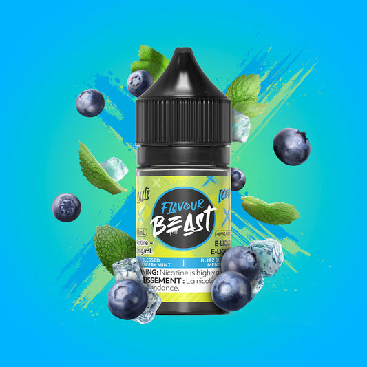 Flavour beast e-liquid Blessed blueberry mint iced 10mg/ml 30ml