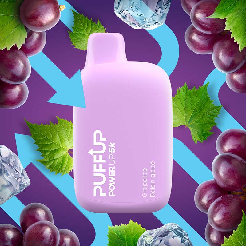 Puffup Power up 5k Grape Ice 20mg/mL disposable(provincial)