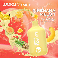 Waka Smash 12mL Pinenana Melon 18mg/mL Disposable (Provincial )