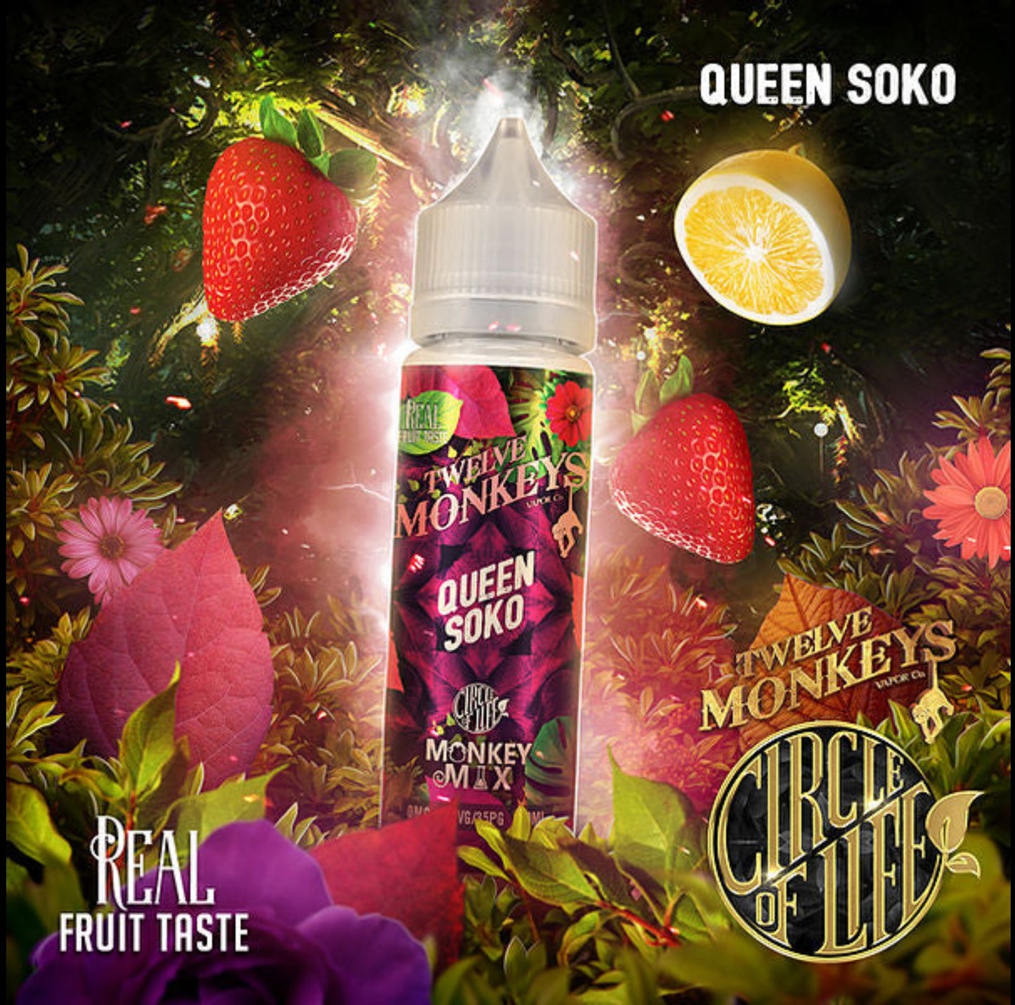 Twelve monkeys e liquid queen soko nicotine free 60mL